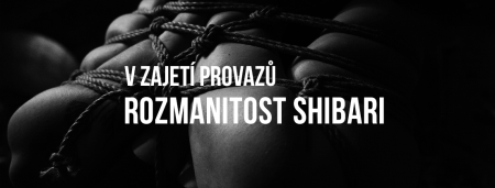 Shibari secrets: Rozmanitost shibari